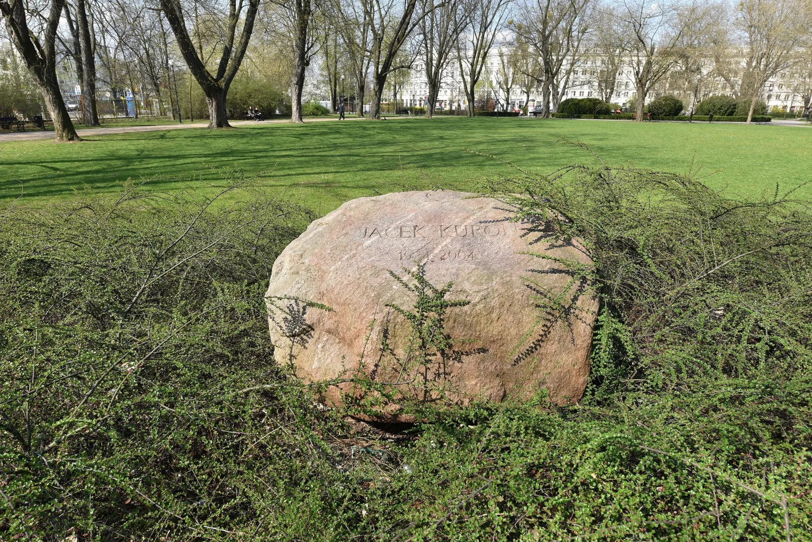 Park Stefana Żeromskiego