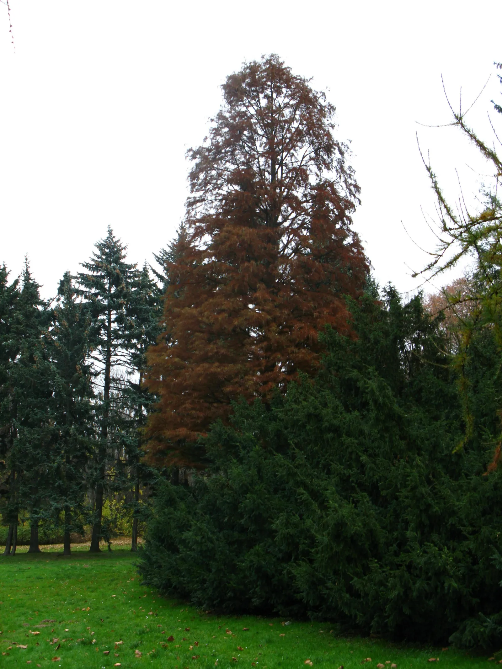 Park Skaryszewski im. Ignacego Jana Paderewskiego w Warszawie