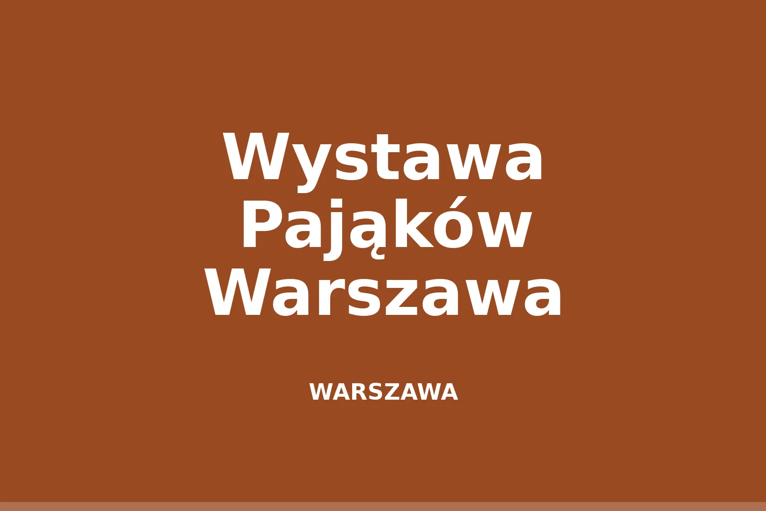 Wystawa Pająków Warszawa